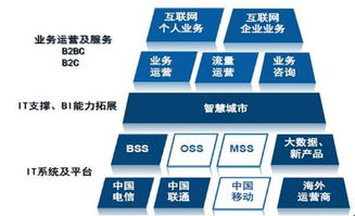 天源迪科（300047）更新研究報告 聚焦政企與運(yùn)營商雙輪驅(qū)動，深化軟件外包服務(wù)布局
